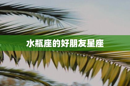 水瓶座的好朋友星座