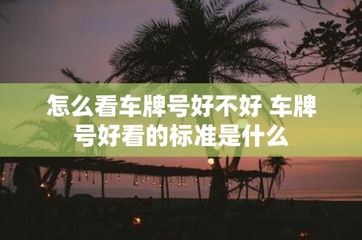 怎么看车牌号好不好 车牌号好看的标准是什么