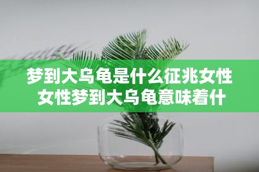 梦到大乌龟是什么征兆女性 女性梦到大乌龟意味着什么