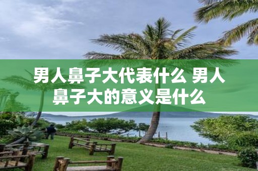 男人鼻子大代表什么 男人鼻子大的意义是什么