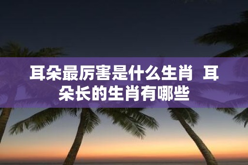 耳朵最厉害是什么生肖 耳朵长的生肖有哪些