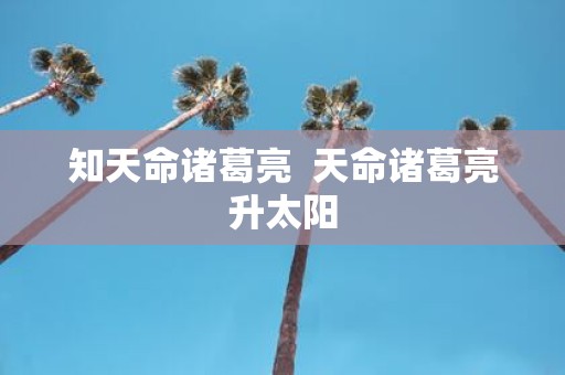 知天命诸葛亮 天命诸葛亮升太阳
