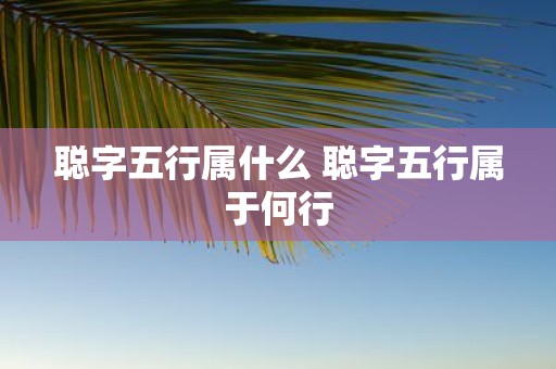 聪字五行属什么 聪字五行属于何行