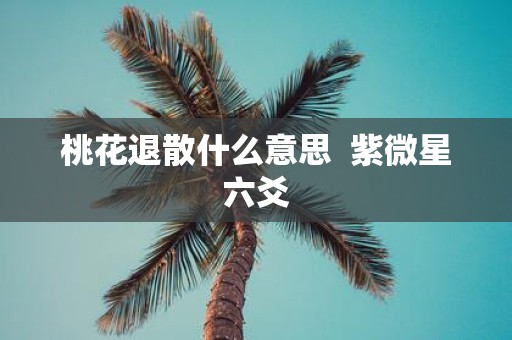 桃花退散什么意思 紫微星六爻