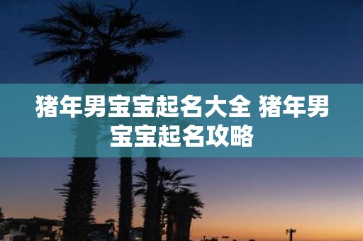猪年男宝宝起名大全 猪年男宝宝起名攻略