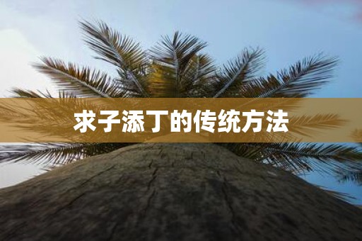 求子添丁的传统方法