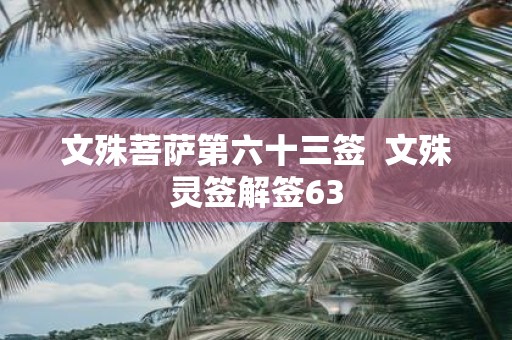 文殊菩萨第六十三签 文殊灵签解签63