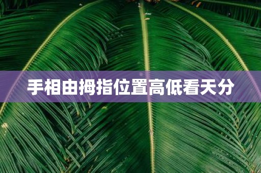 手相由拇指位置高低看天分