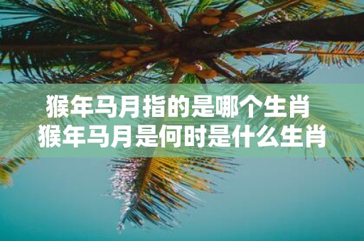猴年马月指的是哪个生肖 猴年马月是何时是什么生肖