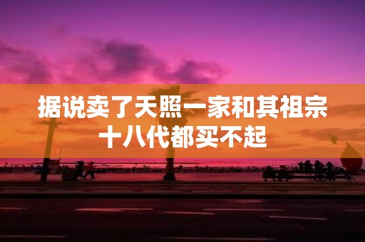 据说卖了天照一家和其祖宗十八代都买不起