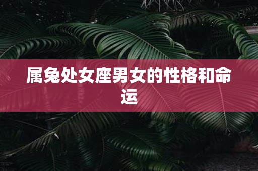 属兔处女座男女的性格和命运