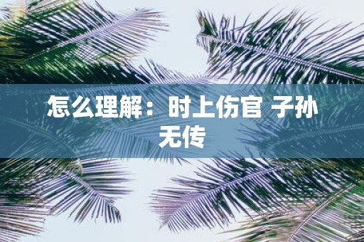 怎么理解：时上伤官 子孙无传