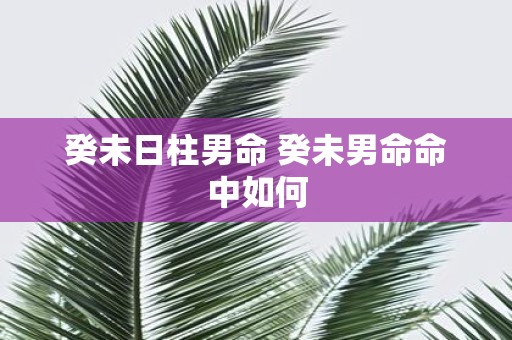 癸未日柱男命 癸未男命命中如何