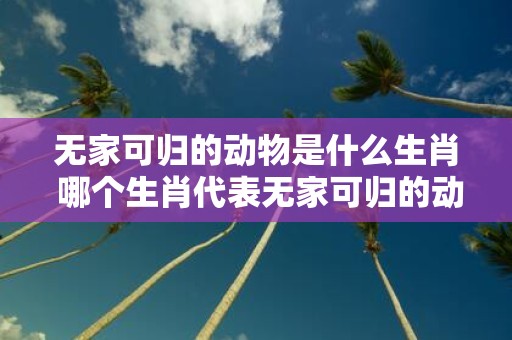 无家可归的动物是什么生肖 哪个生肖代表无家可归的动物