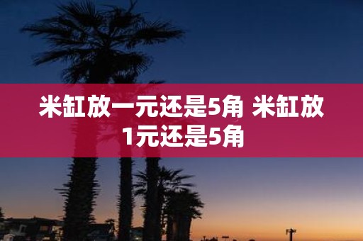 米缸放一元还是5角 米缸放1元还是5角