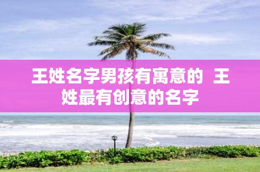王姓名字男孩有寓意的 王姓最有创意的名字