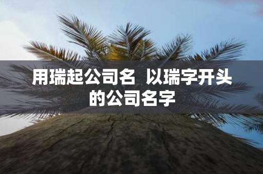 用瑞起公司名 以瑞字开头的公司名字