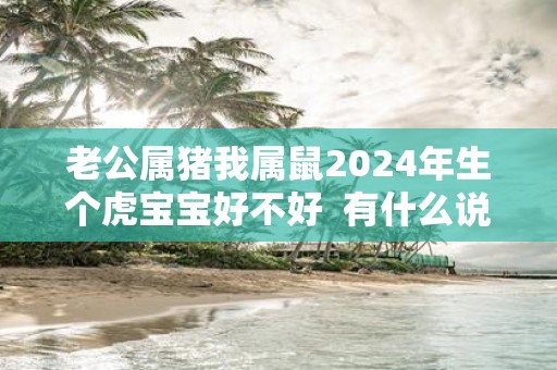 老公属猪我属鼠2025年生个虎宝宝好不好 有什么说法