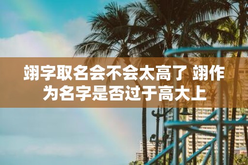 翊字取名会不会太高了 翊作为名字是否过于高大上