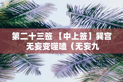 第二十三签 【中上签】巽宫 无妄变噬嗑（无妄九