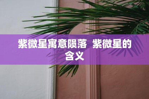 紫微星寓意陨落 紫微星的含义