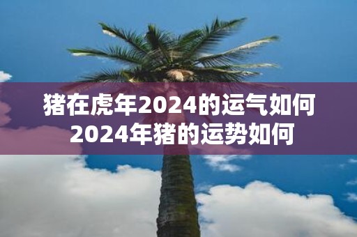 猪在虎年2025的运气如何 2025年猪的运势如何