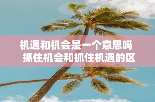 机遇和机会是一个意思吗 抓住机会和抓住机遇的区别