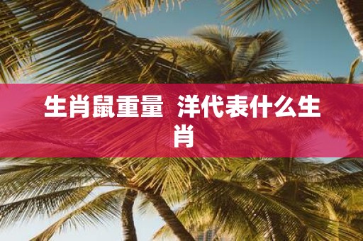 生肖鼠重量 洋代表什么生肖