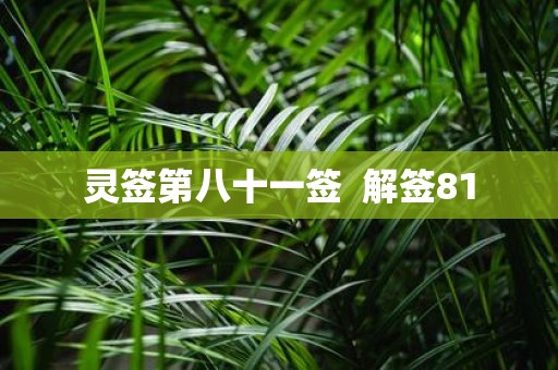 灵签第八十一签 解签81