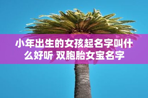 小年出生的女孩起名字叫什么好听 双胞胎女宝名字