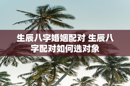 生辰八字婚姻配对 生辰八字配对如何选对象