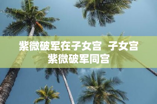 紫微破军在子女宫 子女宫紫微破军同宫