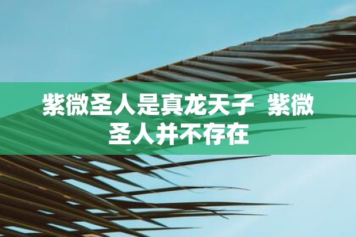 紫微圣人是真龙天子 紫微圣人并不存在