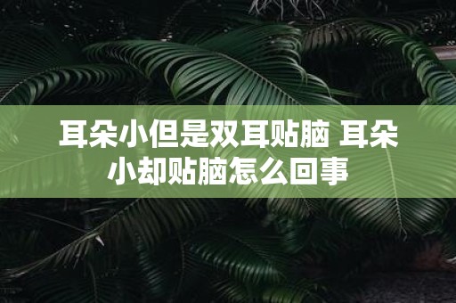 耳朵小但是双耳贴脑 耳朵小却贴脑怎么回事
