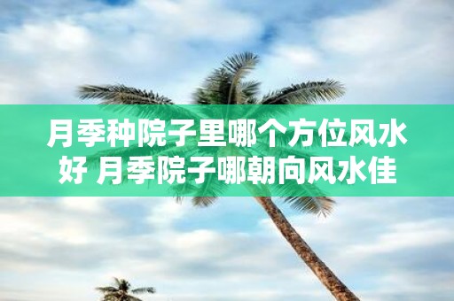 月季种院子里哪个方位风水好 月季院子哪朝向风水佳
