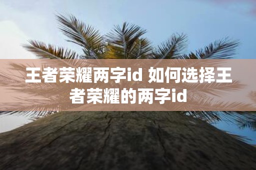 王者荣耀两字id 如何选择王者荣耀的两字id