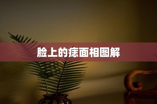 脸上的痣面相图解