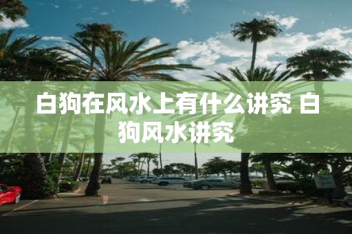 白狗在风水上有什么讲究 白狗风水讲究