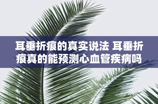 耳垂折痕的真实说法 耳垂折痕真的能预测心血管疾病吗