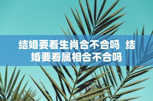 结婚要看生肖合不合吗 结婚要看属相合不合吗