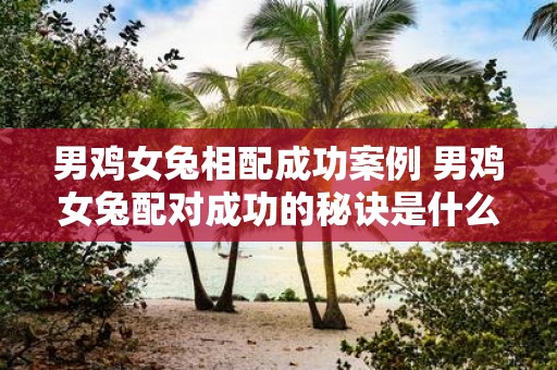 男鸡女兔相配成功案例 男鸡女兔配对成功的秘诀是什么