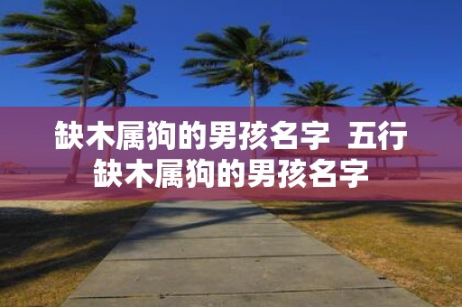 缺木属狗的男孩名字 五行缺木属狗的男孩名字