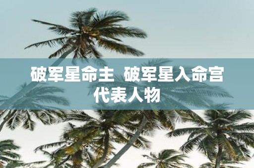 破军星命主 破军星入命宫代表人物