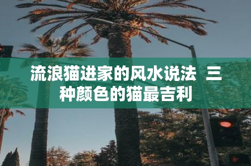 流浪猫进家的风水说法 三种颜色的猫最吉利
