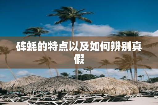 砗蚝的特点以及如何辨别真假