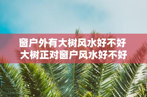 窗户外有大树风水好不好 大树正对窗户风水好不好