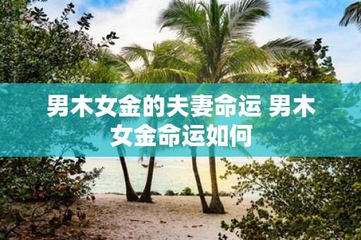 男木女金的夫妻命运 男木女金命运如何