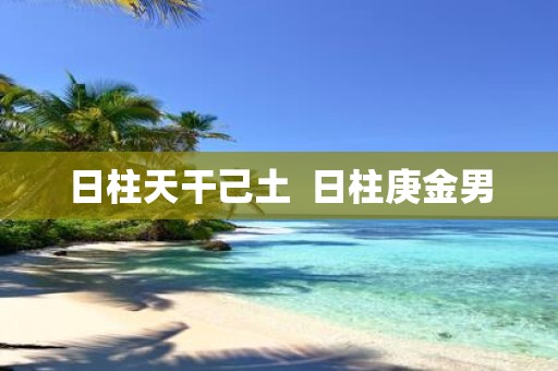 日柱天干己土 日柱庚金男