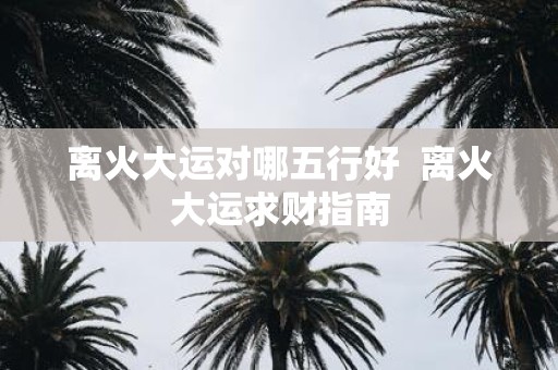 离火大运对哪五行好 离火大运求财指南