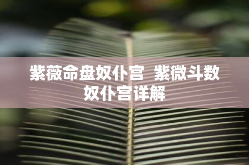 紫薇命盘奴仆宫 紫微斗数奴仆宫详解